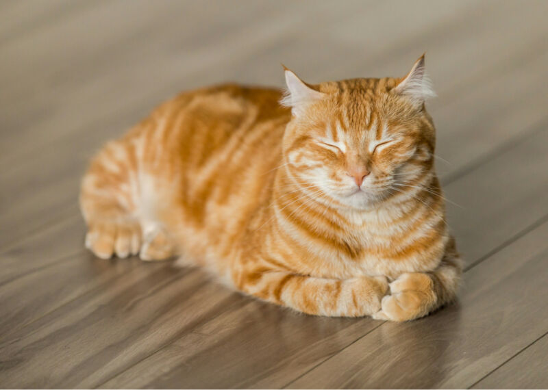 01 Energieberatung 2200x1467px 3